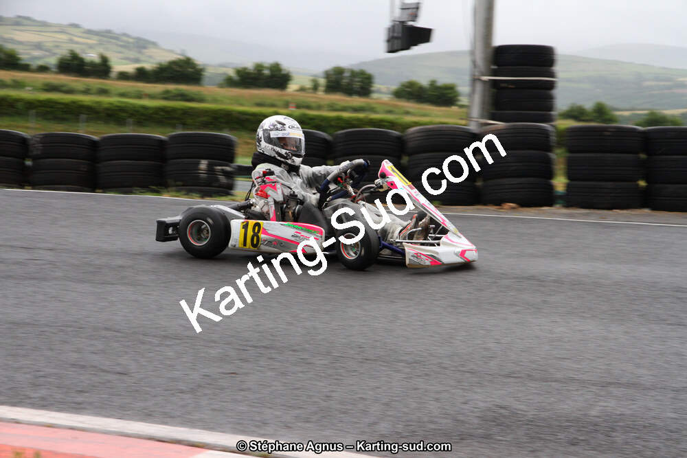 03 & 04/06/2017 : 4ème manche du Championnat du Sud à Belmont sur Rance (Photos Stéphane Agnus) 2017 — karting