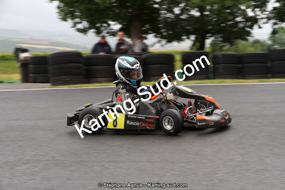 03 & 04/06/2017 : 4ème manche du Championnat du Sud à Belmont sur Rance (Photos Stéphane Agnus) 2017 — karting