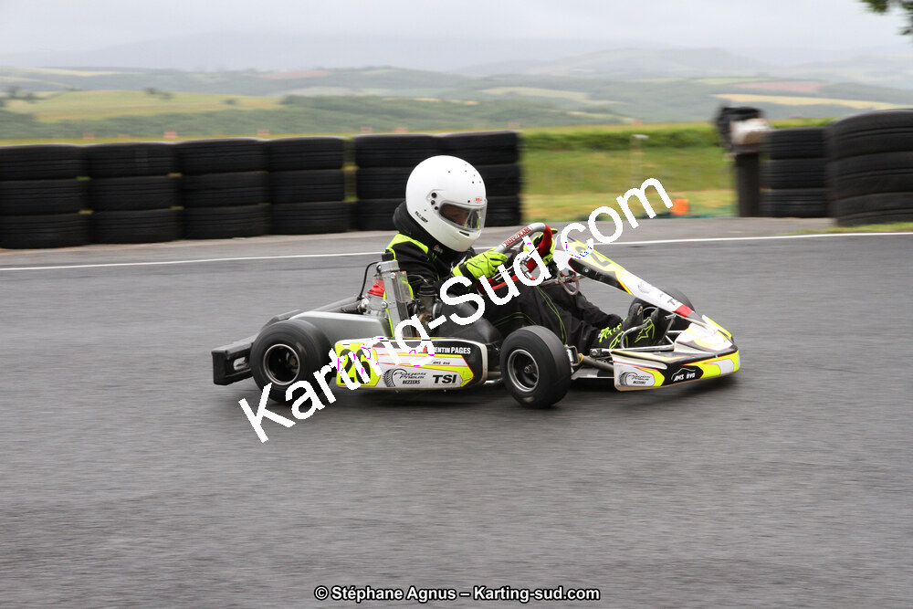 03 & 04/06/2017 : 4ème manche du Championnat du Sud à Belmont sur Rance (Photos Stéphane Agnus) 2017 — karting