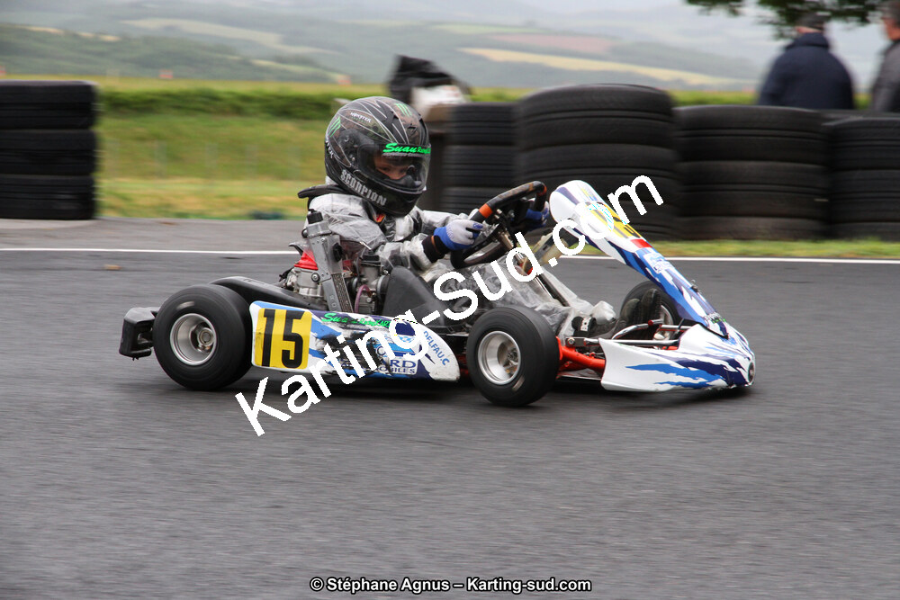 03 & 04/06/2017 : 4ème manche du Championnat du Sud à Belmont sur Rance (Photos Stéphane Agnus) 2017 — karting