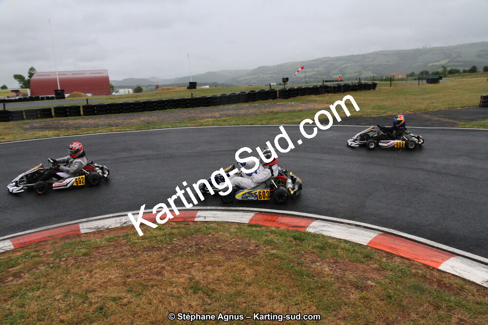 03 & 04/06/2017 : 4ème manche du Championnat du Sud à Belmont sur Rance (Photos Stéphane Agnus) 2017 — karting