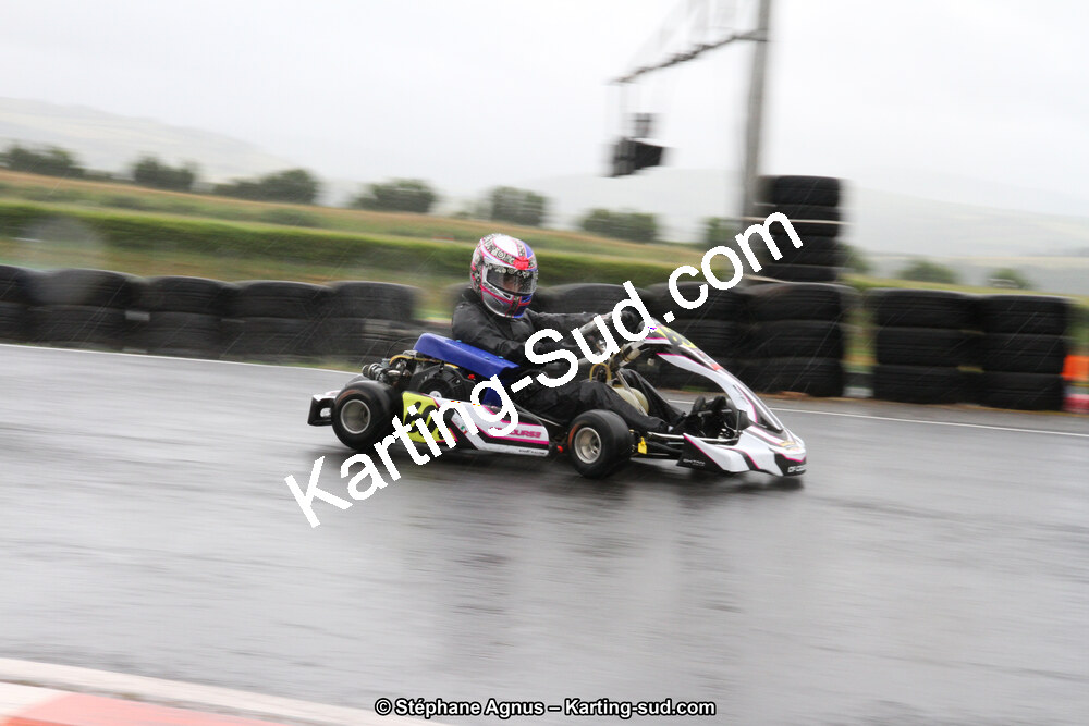 03 & 04/06/2017 : 4ème manche du Championnat du Sud à Belmont sur Rance (Photos Stéphane Agnus) 2017 — karting