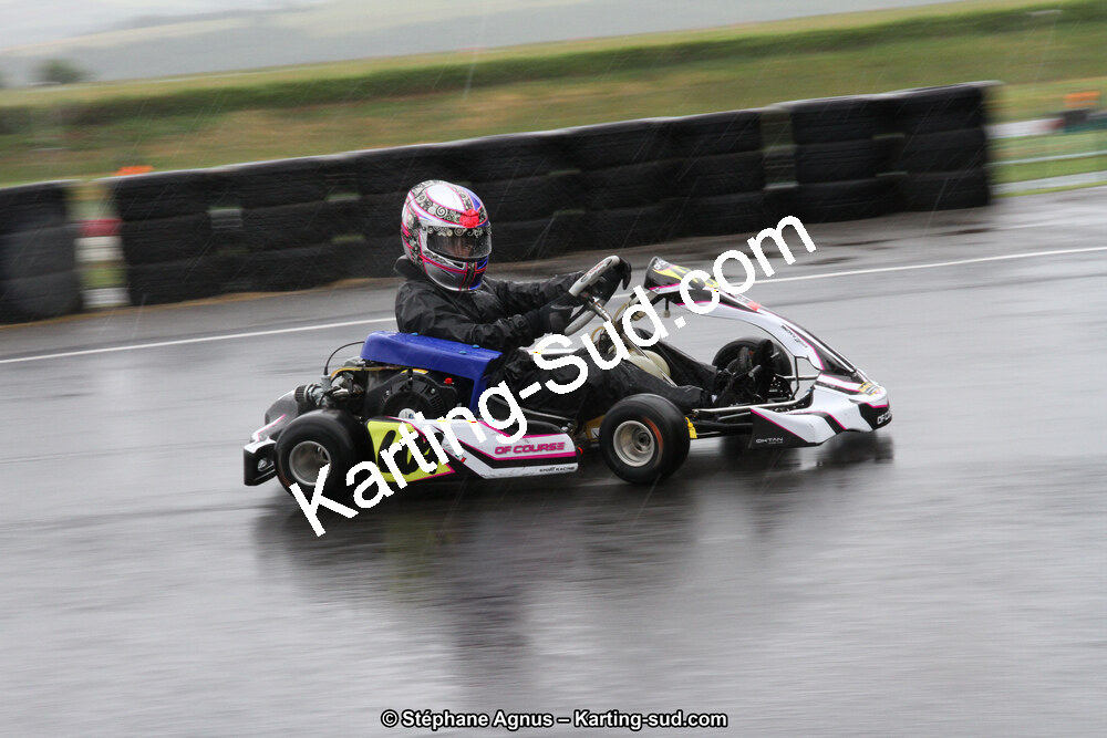 03 & 04/06/2017 : 4ème manche du Championnat du Sud à Belmont sur Rance (Photos Stéphane Agnus) 2017 — karting