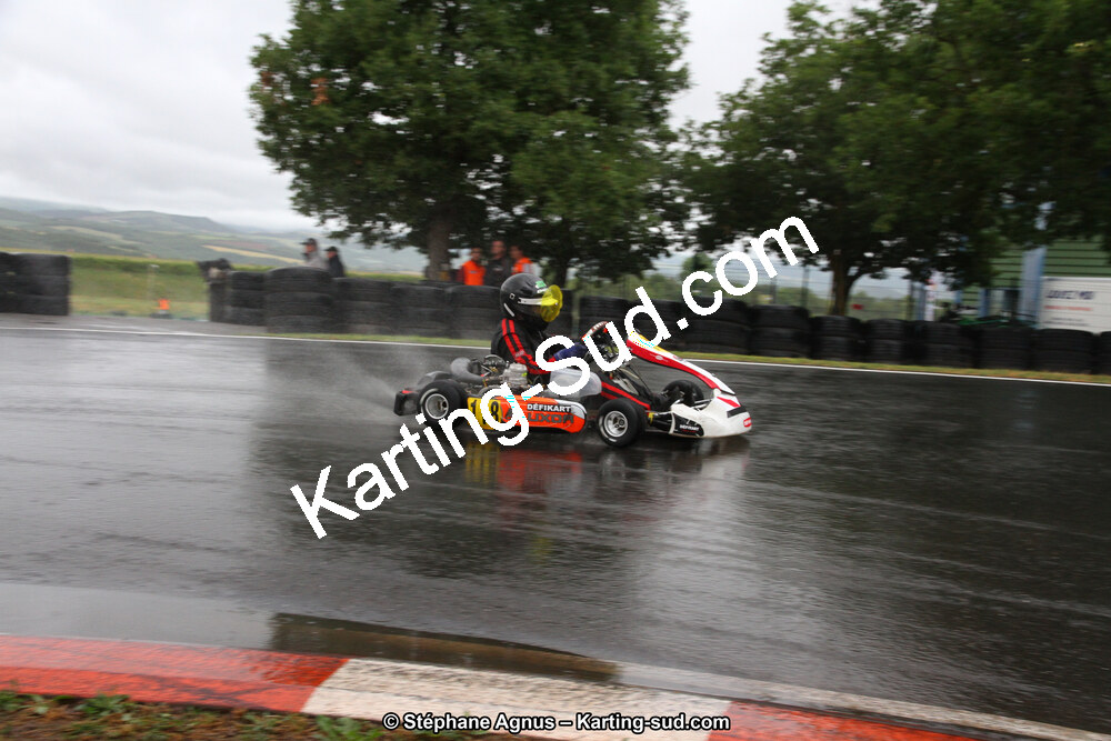 03 & 04/06/2017 : 4ème manche du Championnat du Sud à Belmont sur Rance (Photos Stéphane Agnus) 2017 — karting