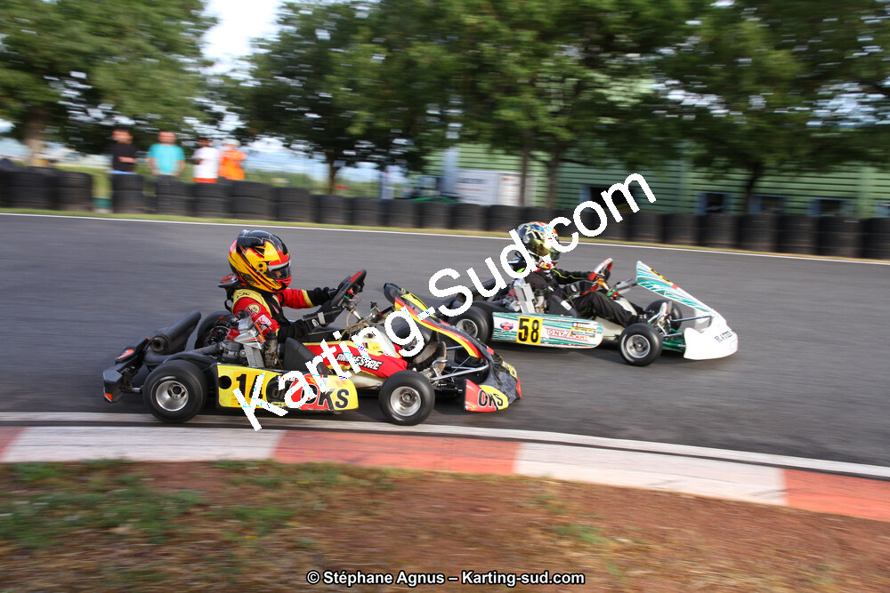 03 & 04/06/2017 : 4ème manche du Championnat du Sud à Belmont sur Rance (Photos Stéphane Agnus) 2017 — karting