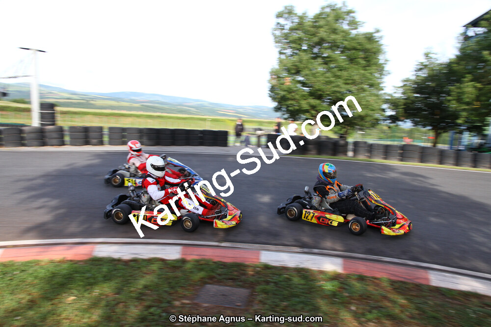 03 & 04/06/2017 : 4ème manche du Championnat du Sud à Belmont sur Rance (Photos Stéphane Agnus) 2017 — karting