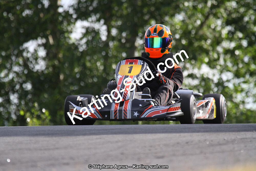 03 & 04/06/2017 : 4ème manche du Championnat du Sud à Belmont sur Rance (Photos Stéphane Agnus) 2017 — karting