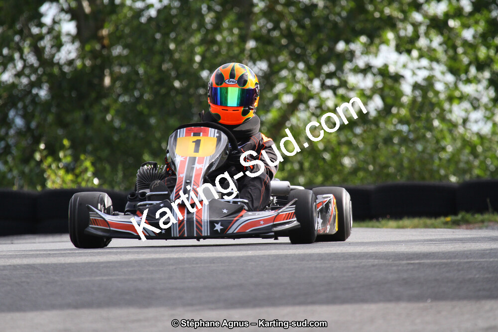 03 & 04/06/2017 : 4ème manche du Championnat du Sud à Belmont sur Rance (Photos Stéphane Agnus) 2017 — karting