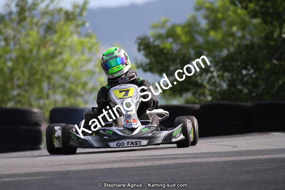 03 & 04/06/2017 : 4ème manche du Championnat du Sud à Belmont sur Rance (Photos Stéphane Agnus) 2017 — karting
