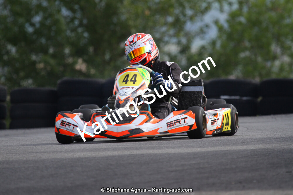 03 & 04/06/2017 : 4ème manche du Championnat du Sud à Belmont sur Rance (Photos Stéphane Agnus) 2017 — karting
