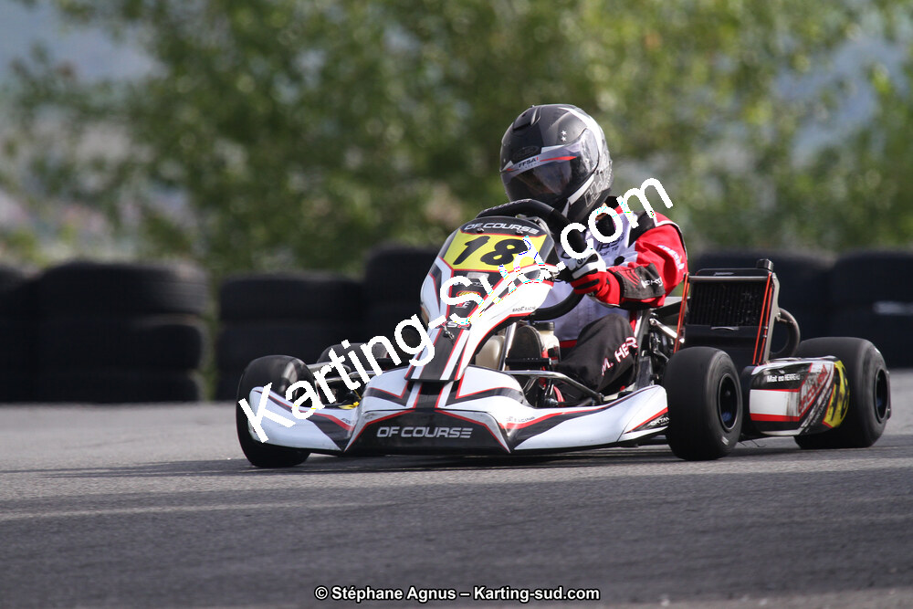 03 & 04/06/2017 : 4ème manche du Championnat du Sud à Belmont sur Rance (Photos Stéphane Agnus) 2017 — karting