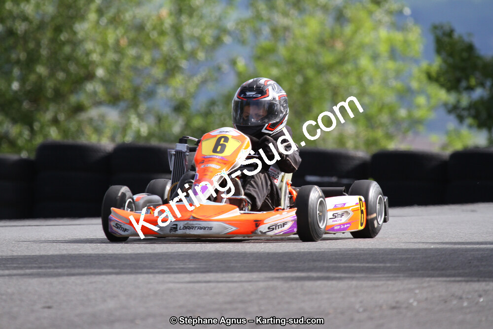 03 & 04/06/2017 : 4ème manche du Championnat du Sud à Belmont sur Rance (Photos Stéphane Agnus) 2017 — karting