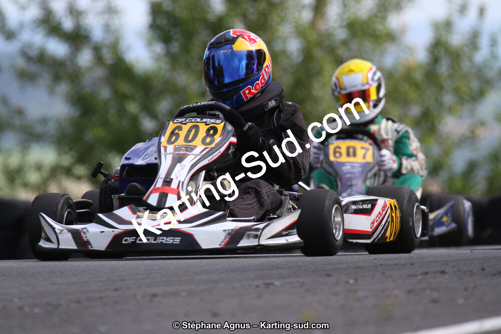 03 & 04/06/2017 : 4ème manche du Championnat du Sud à Belmont sur Rance (Photos Stéphane Agnus) 2017 — karting