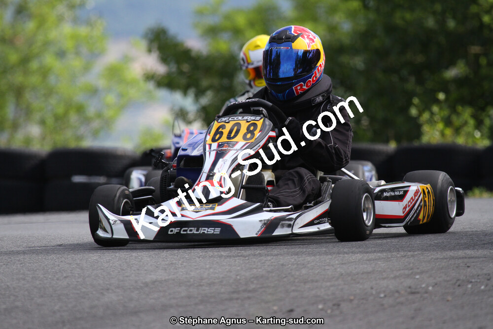 03 & 04/06/2017 : 4ème manche du Championnat du Sud à Belmont sur Rance (Photos Stéphane Agnus) 2017 — karting