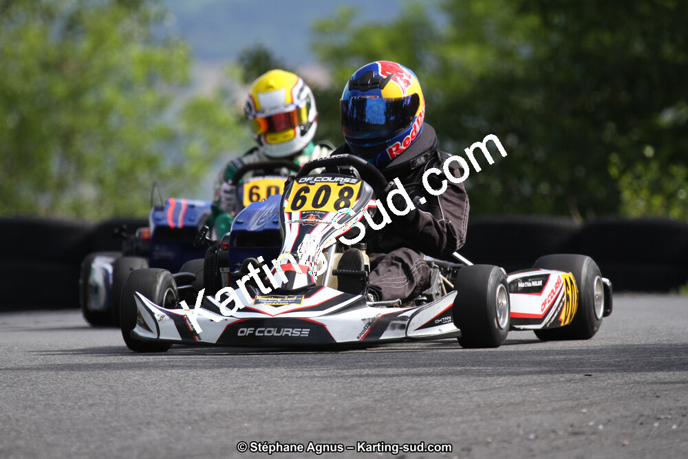 03 & 04/06/2017 : 4ème manche du Championnat du Sud à Belmont sur Rance (Photos Stéphane Agnus) 2017 — karting