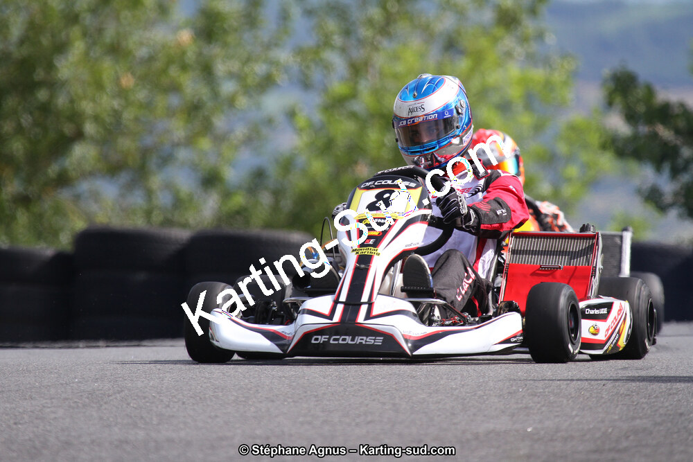 03 & 04/06/2017 : 4ème manche du Championnat du Sud à Belmont sur Rance (Photos Stéphane Agnus) 2017 — karting