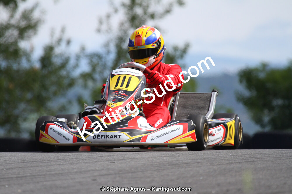 03 & 04/06/2017 : 4ème manche du Championnat du Sud à Belmont sur Rance (Photos Stéphane Agnus) 2017 — karting