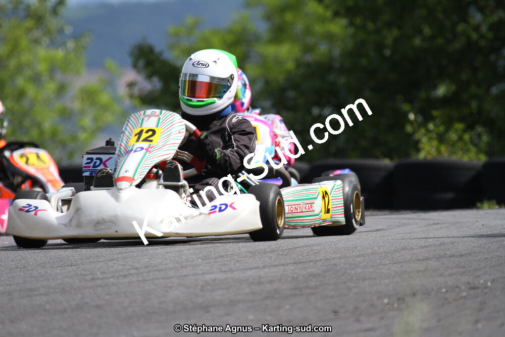 03 & 04/06/2017 : 4ème manche du Championnat du Sud à Belmont sur Rance (Photos Stéphane Agnus) 2017 — karting