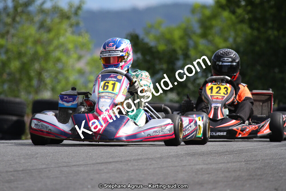 03 & 04/06/2017 : 4ème manche du Championnat du Sud à Belmont sur Rance (Photos Stéphane Agnus) 2017 — karting
