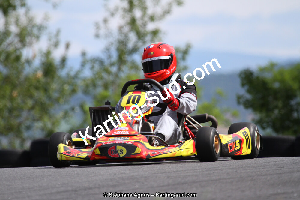 03 & 04/06/2017 : 4ème manche du Championnat du Sud à Belmont sur Rance (Photos Stéphane Agnus) 2017 — karting