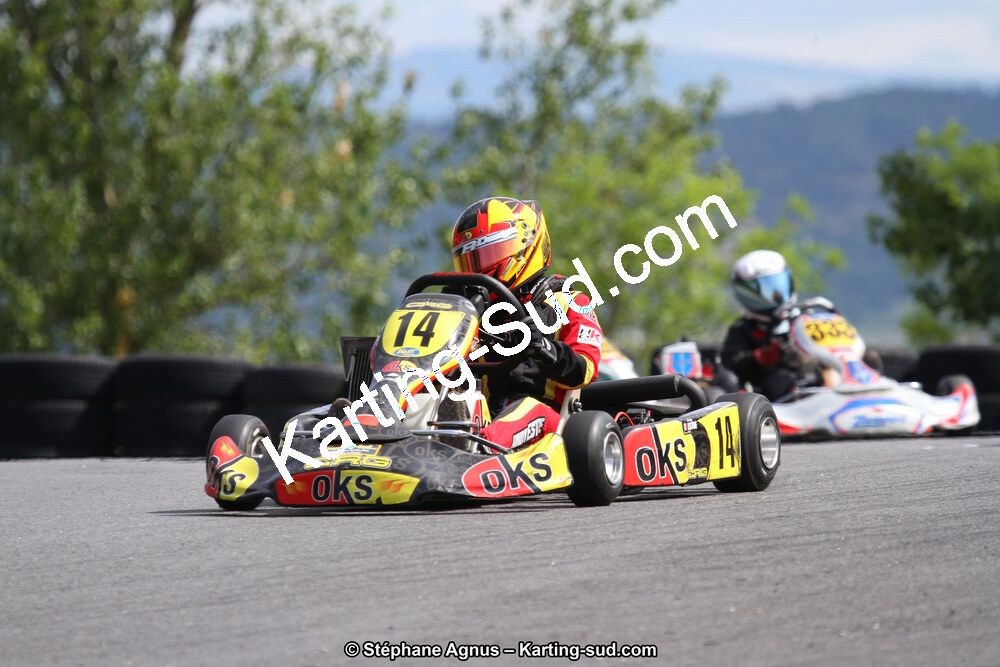 03 & 04/06/2017 : 4ème manche du Championnat du Sud à Belmont sur Rance (Photos Stéphane Agnus) 2017 — karting