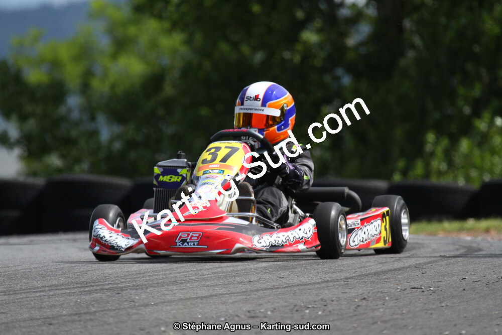 03 & 04/06/2017 : 4ème manche du Championnat du Sud à Belmont sur Rance (Photos Stéphane Agnus) 2017 — karting