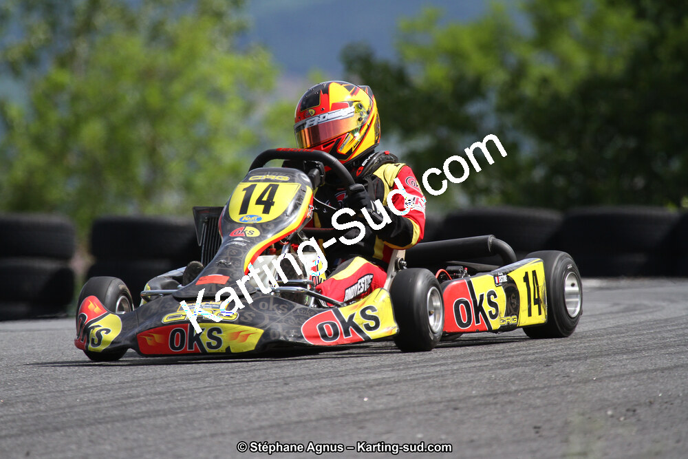 03 & 04/06/2017 : 4ème manche du Championnat du Sud à Belmont sur Rance (Photos Stéphane Agnus) 2017 — karting