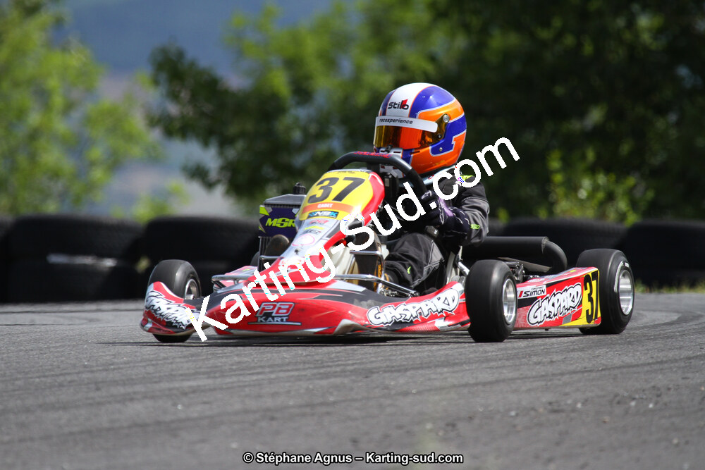 03 & 04/06/2017 : 4ème manche du Championnat du Sud à Belmont sur Rance (Photos Stéphane Agnus) 2017 — karting