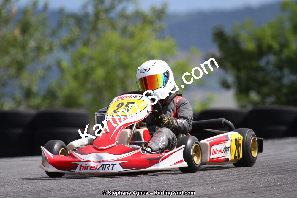 03 & 04/06/2017 : 4ème manche du Championnat du Sud à Belmont sur Rance (Photos Stéphane Agnus) 2017 — karting