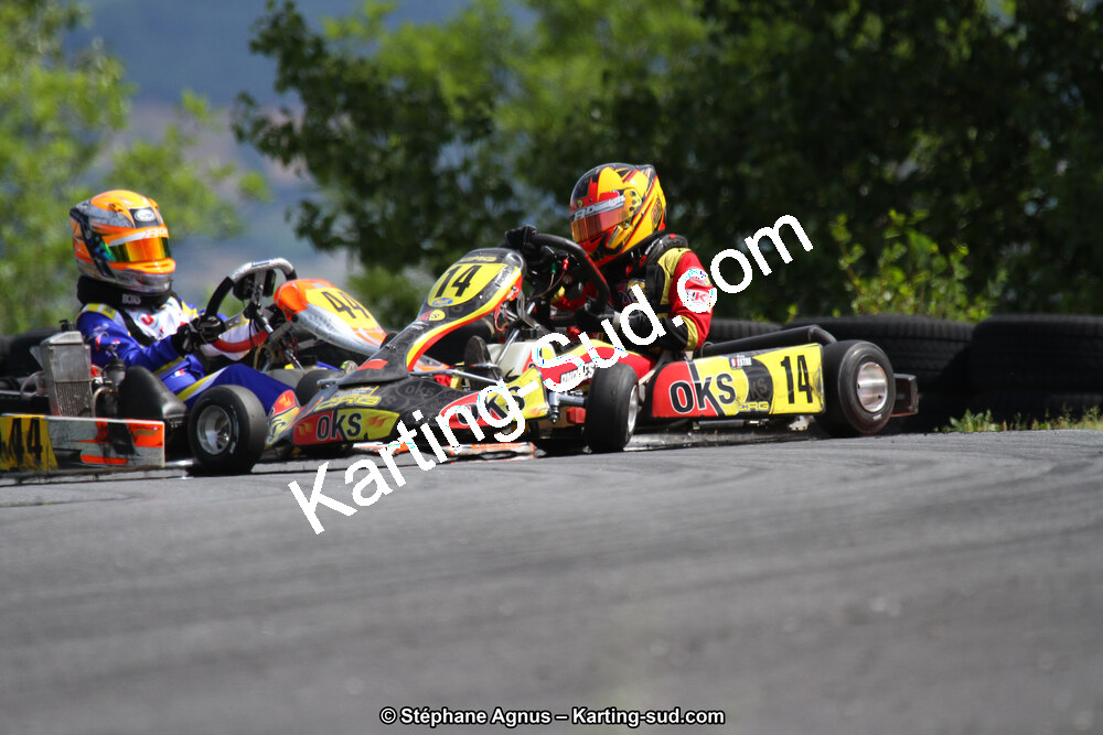 03 & 04/06/2017 : 4ème manche du Championnat du Sud à Belmont sur Rance (Photos Stéphane Agnus) 2017 — karting
