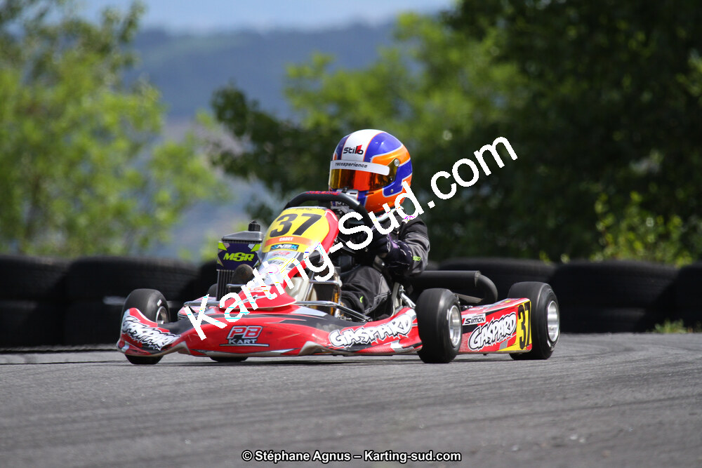 03 & 04/06/2017 : 4ème manche du Championnat du Sud à Belmont sur Rance (Photos Stéphane Agnus) 2017 — karting