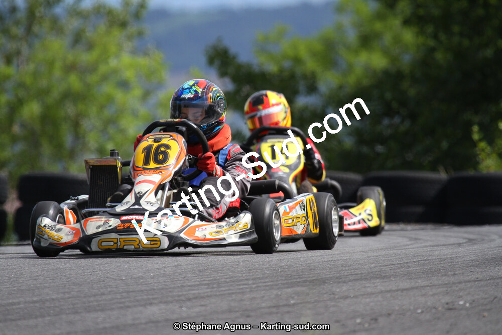 03 & 04/06/2017 : 4ème manche du Championnat du Sud à Belmont sur Rance (Photos Stéphane Agnus) 2017 — karting