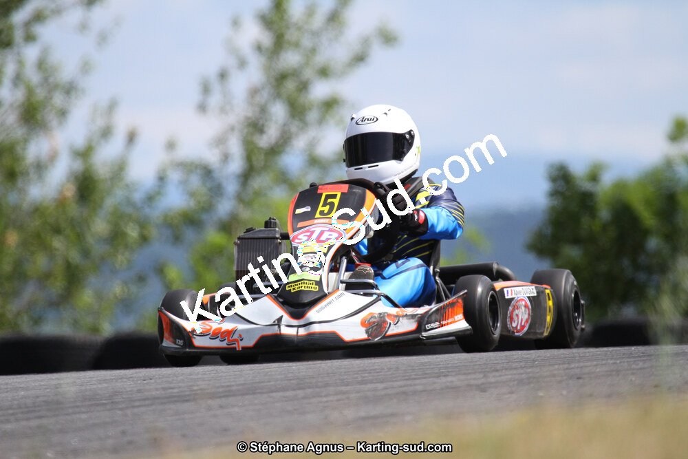 03 & 04/06/2017 : 4ème manche du Championnat du Sud à Belmont sur Rance (Photos Stéphane Agnus) 2017 — karting