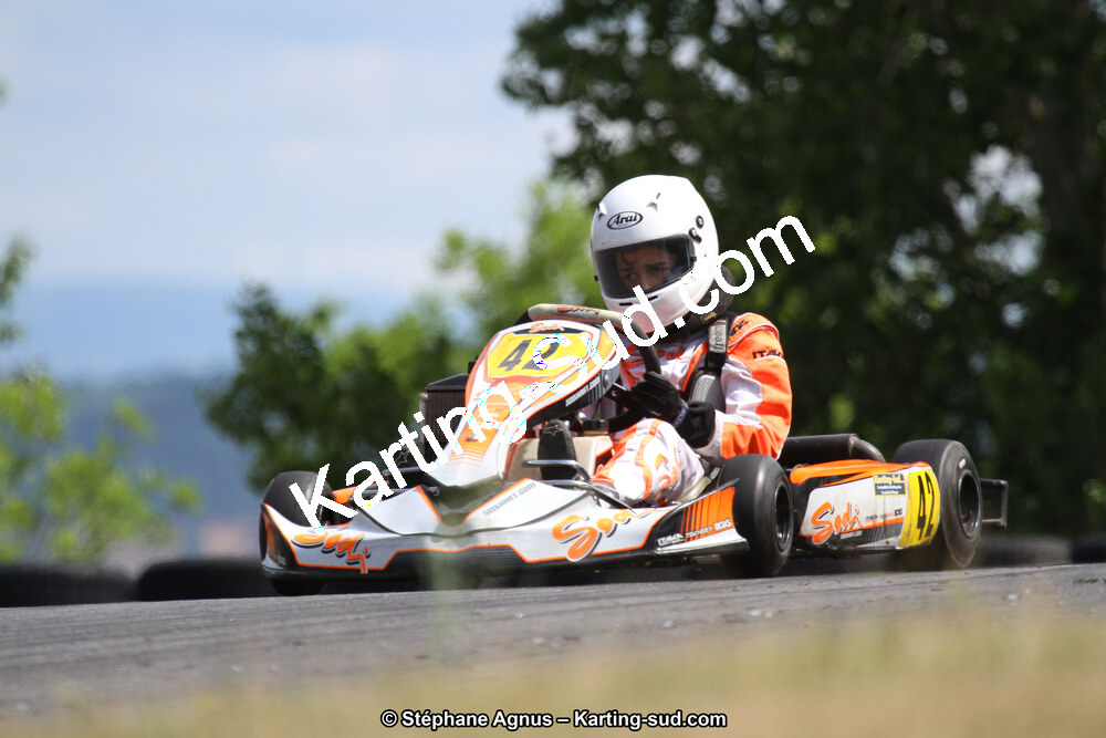 03 & 04/06/2017 : 4ème manche du Championnat du Sud à Belmont sur Rance (Photos Stéphane Agnus) 2017 — karting