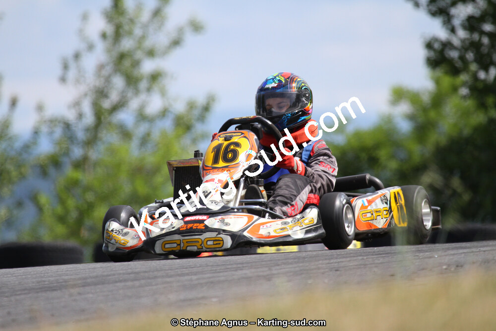 03 & 04/06/2017 : 4ème manche du Championnat du Sud à Belmont sur Rance (Photos Stéphane Agnus) 2017 — karting
