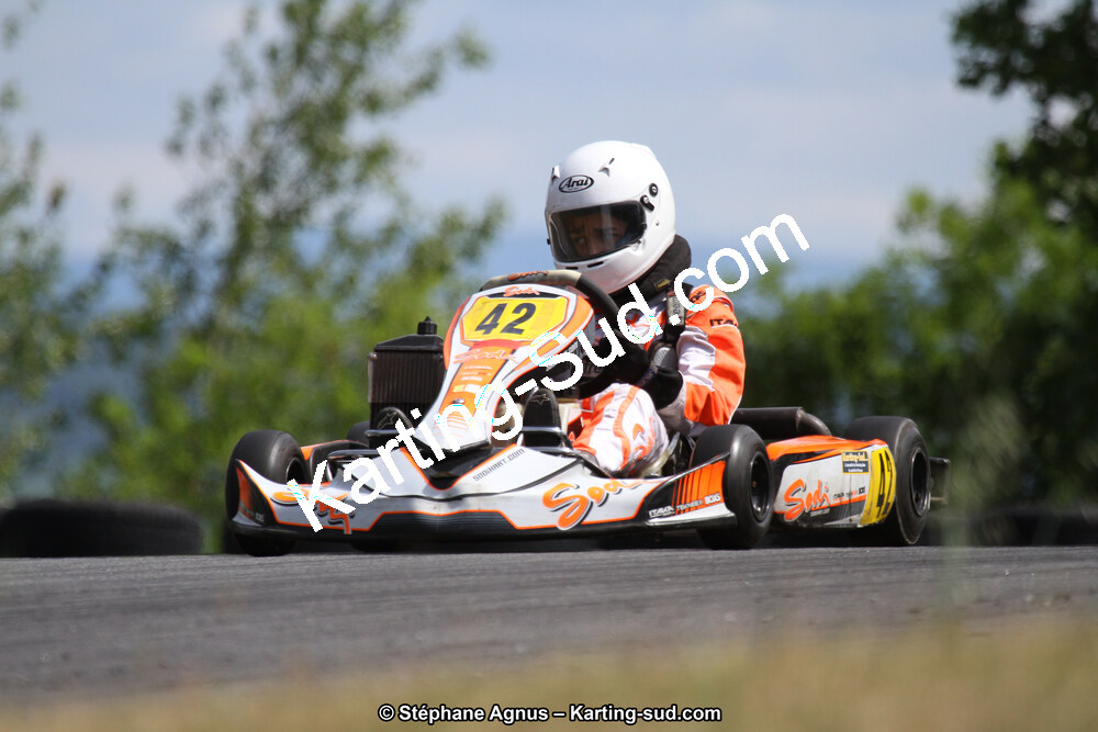 03 & 04/06/2017 : 4ème manche du Championnat du Sud à Belmont sur Rance (Photos Stéphane Agnus) 2017 — karting