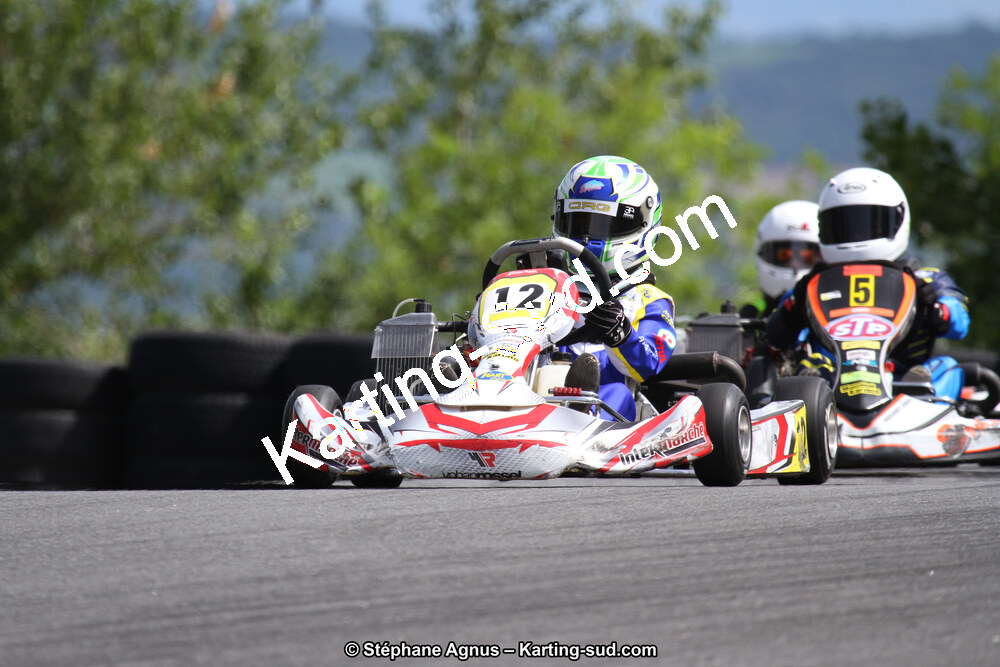 03 & 04/06/2017 : 4ème manche du Championnat du Sud à Belmont sur Rance (Photos Stéphane Agnus) 2017 — karting