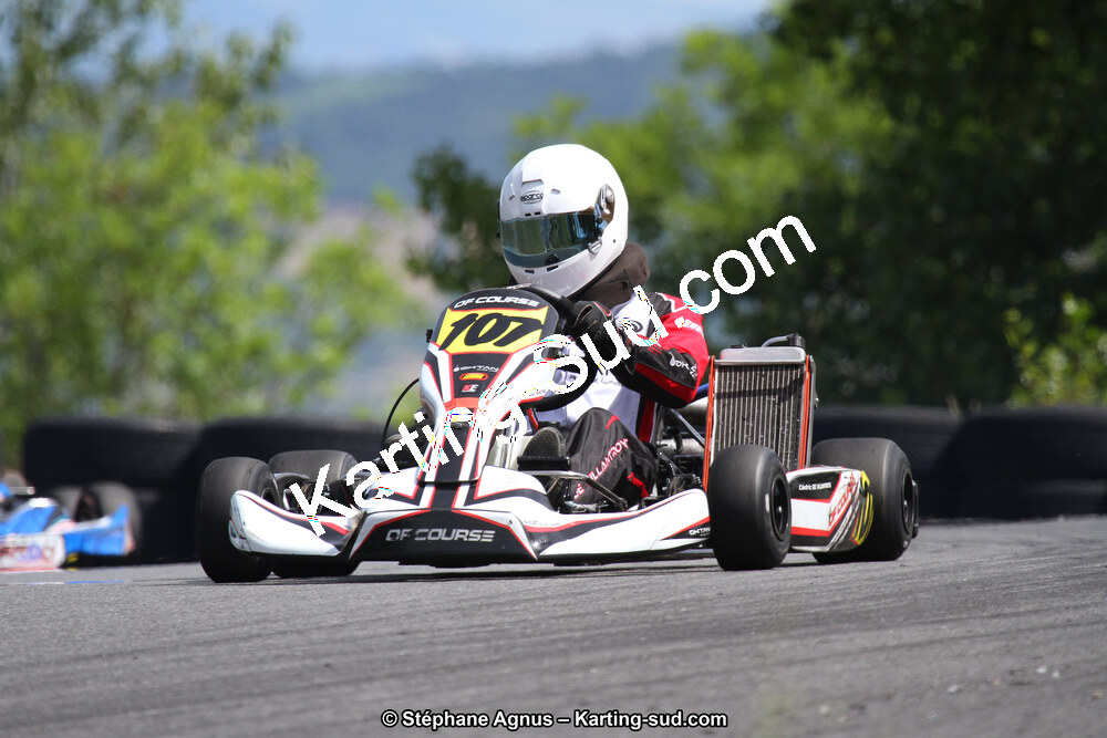 03 & 04/06/2017 : 4ème manche du Championnat du Sud à Belmont sur Rance (Photos Stéphane Agnus) 2017 — karting