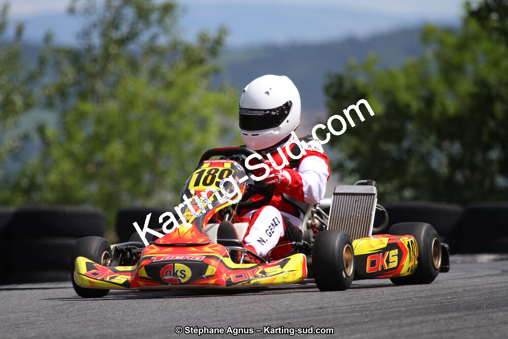 03 & 04/06/2017 : 4ème manche du Championnat du Sud à Belmont sur Rance (Photos Stéphane Agnus) 2017 — karting