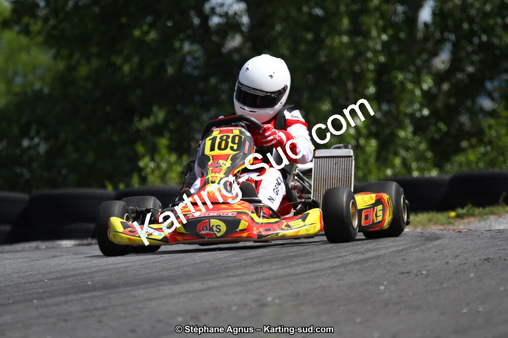 03 & 04/06/2017 : 4ème manche du Championnat du Sud à Belmont sur Rance (Photos Stéphane Agnus) 2017 — karting