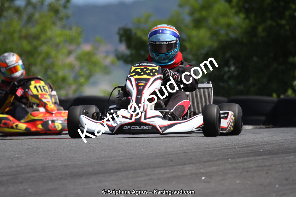 03 & 04/06/2017 : 4ème manche du Championnat du Sud à Belmont sur Rance (Photos Stéphane Agnus) 2017 — karting
