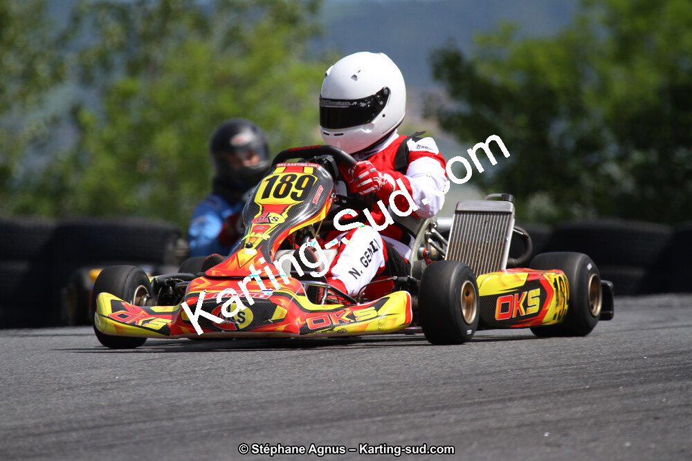 03 & 04/06/2017 : 4ème manche du Championnat du Sud à Belmont sur Rance (Photos Stéphane Agnus) 2017 — karting