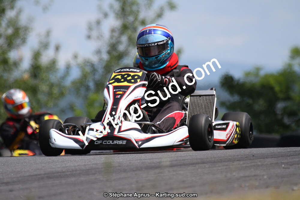 03 & 04/06/2017 : 4ème manche du Championnat du Sud à Belmont sur Rance (Photos Stéphane Agnus) 2017 — karting