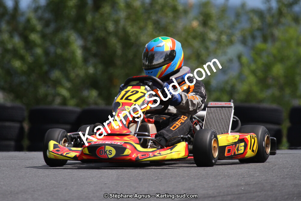 03 & 04/06/2017 : 4ème manche du Championnat du Sud à Belmont sur Rance (Photos Stéphane Agnus) 2017 — karting