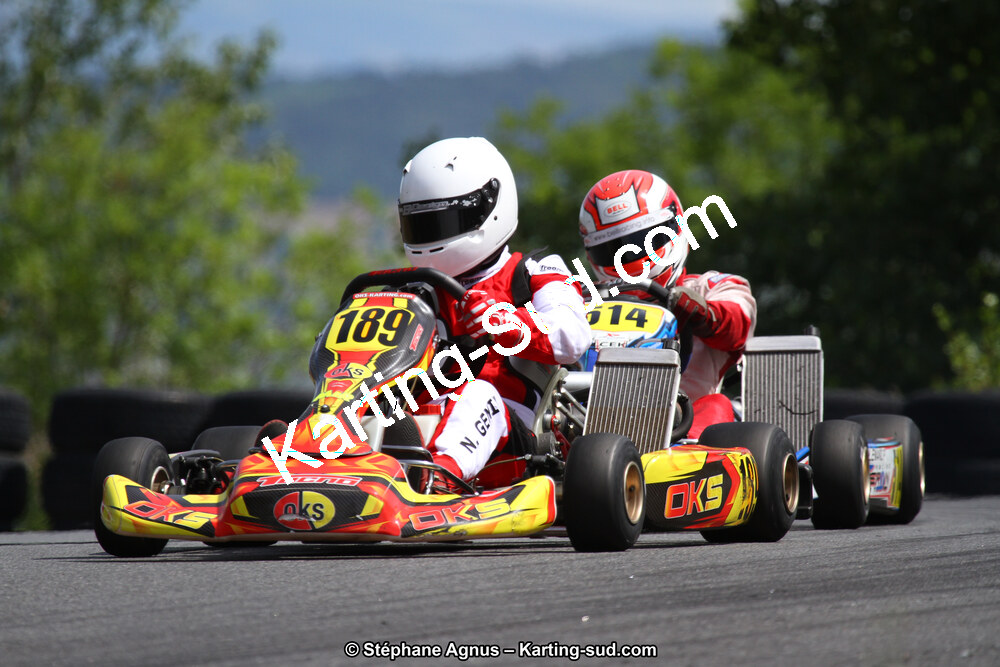 03 & 04/06/2017 : 4ème manche du Championnat du Sud à Belmont sur Rance (Photos Stéphane Agnus) 2017 — karting