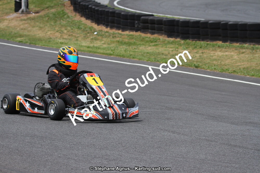 03 & 04/06/2017 : 4ème manche du Championnat du Sud à Belmont sur Rance (Photos Stéphane Agnus) 2017 — karting