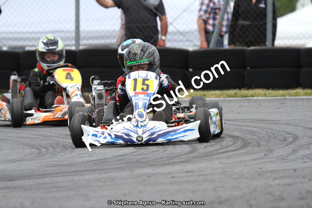 03 & 04/06/2017 : 4ème manche du Championnat du Sud à Belmont sur Rance (Photos Stéphane Agnus) 2017 — karting