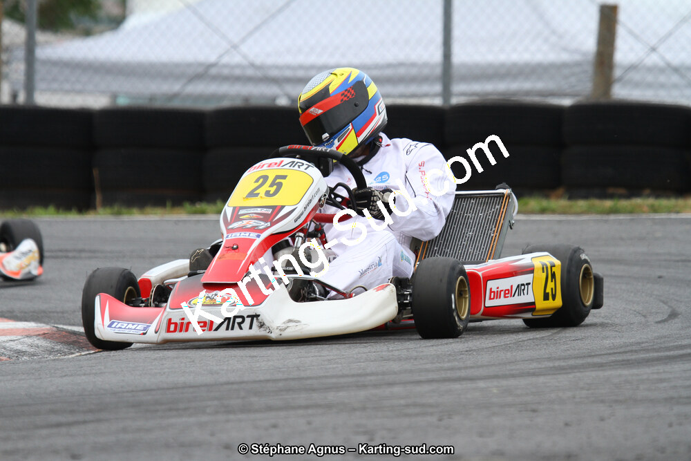 03 & 04/06/2017 : 4ème manche du Championnat du Sud à Belmont sur Rance (Photos Stéphane Agnus) 2017 — karting