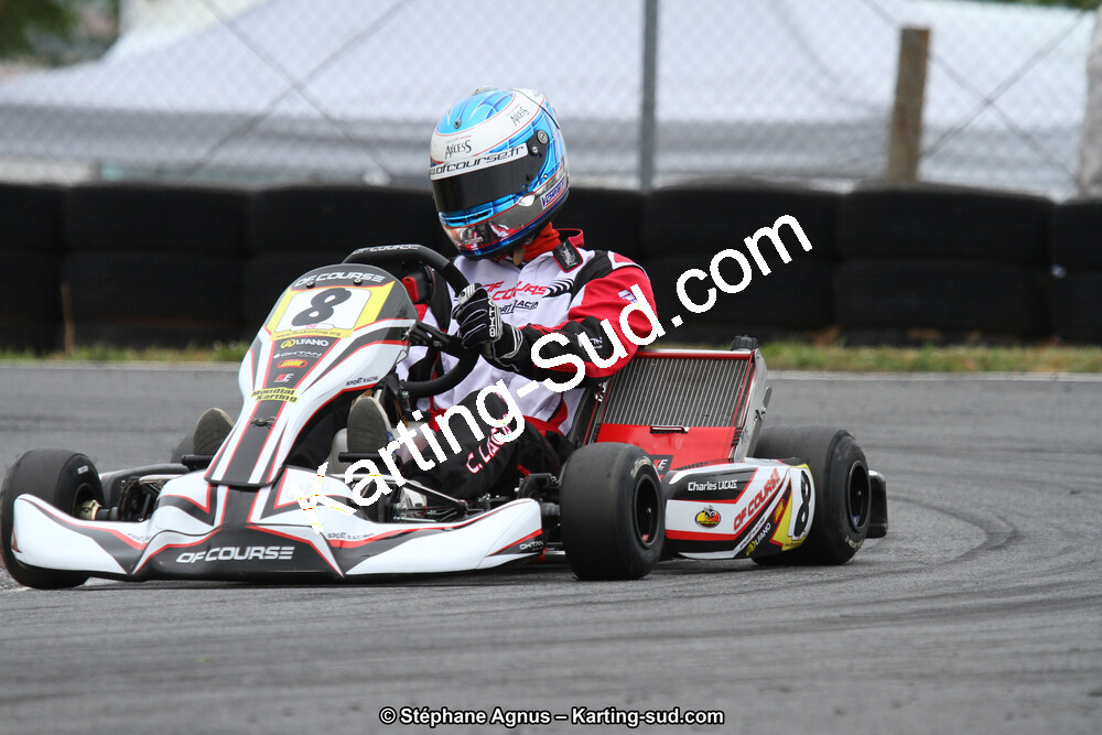 03 & 04/06/2017 : 4ème manche du Championnat du Sud à Belmont sur Rance (Photos Stéphane Agnus) 2017 — karting