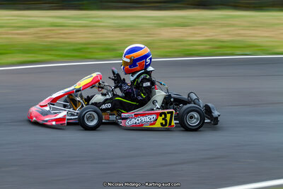 03/06/2017 : 4ème manche du Championnat du Sud à Belmont sur Rance journée du samedi (Photos Nicolas Hidalgo) 2017 — karting